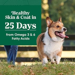 20 Pack Small Breed Senior Dog Food, Chicken & Brown Rice Recipe, 5 lb. Bag