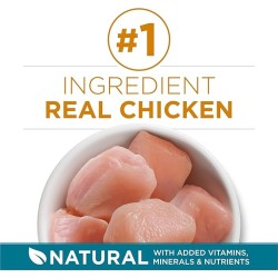 8 PackNatural Dry Cat Food, Tender Selects Blend With Real Chicken - 22 lb. Bag
