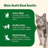 5 Pack Cat Food, Real Chicken & Brown Rice Recipe, 3 lb. Bag (Rachael Ray)