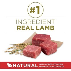 5 Pack Purina ONE Dry Dog Food Lamb and Rice Formula - 31.1 lb. Bag